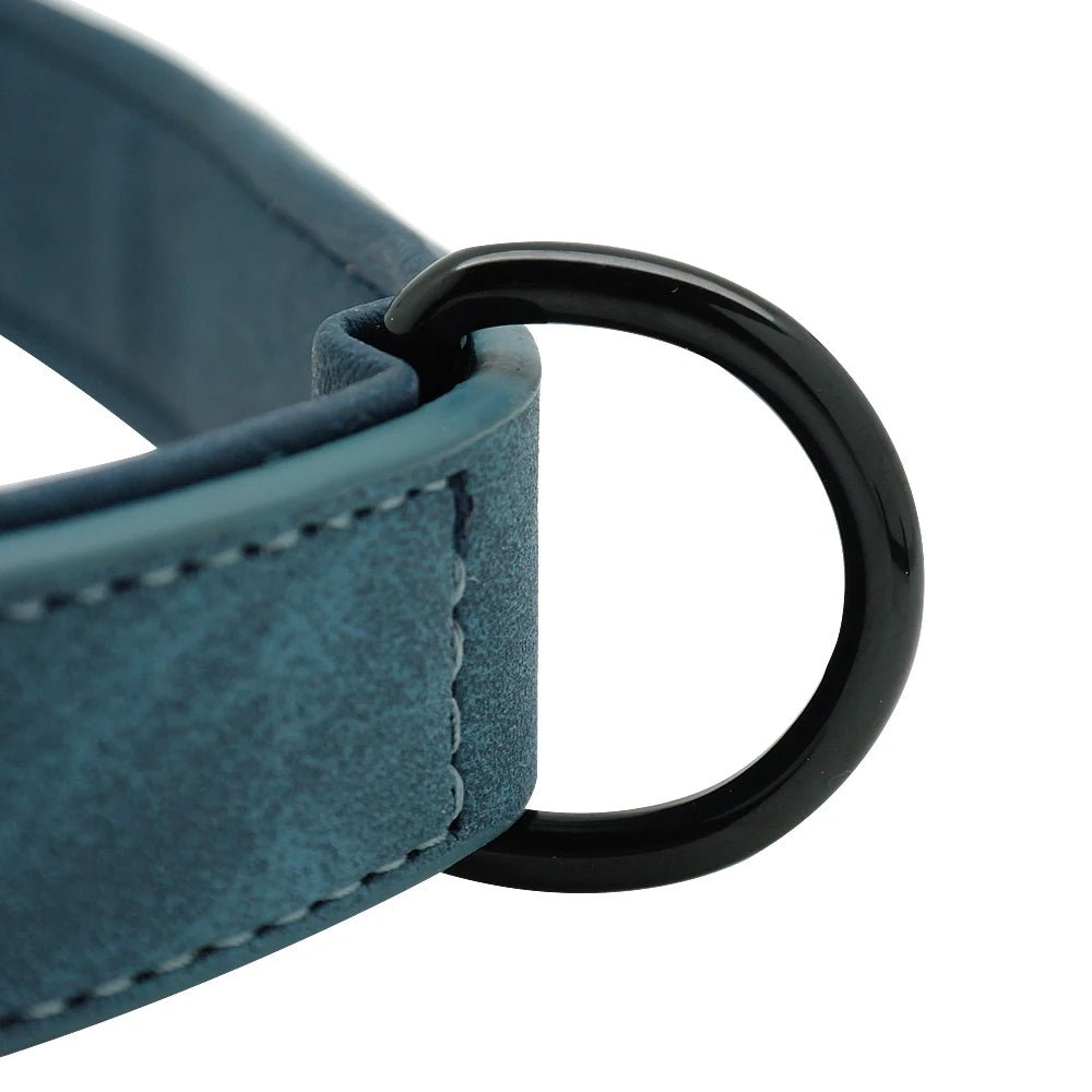 Willen BarkID™ — Engraved Leather Collar & Lead - Personalized Leather Dog Collar & Leash Set | Willen