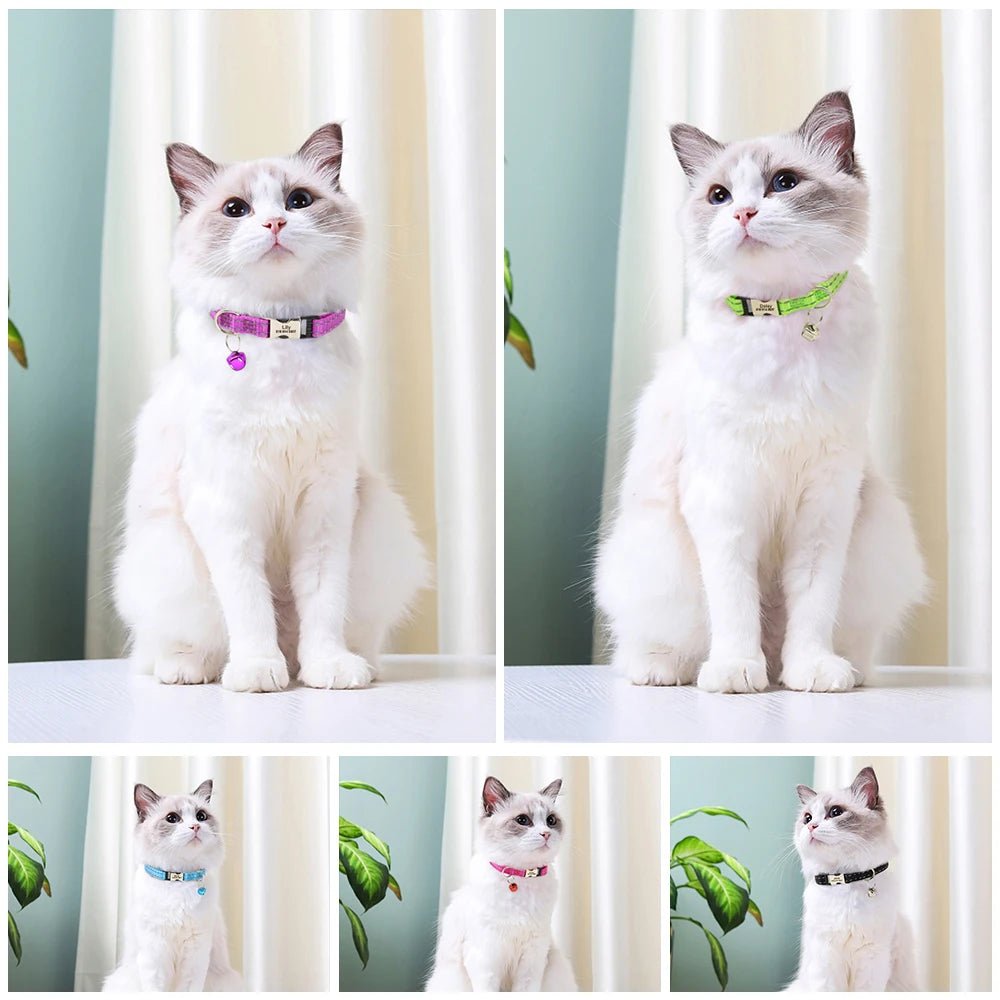 Willen MeowMark™ — Custom Engraved Cat Collar - Personalized Pet Collar | Willen