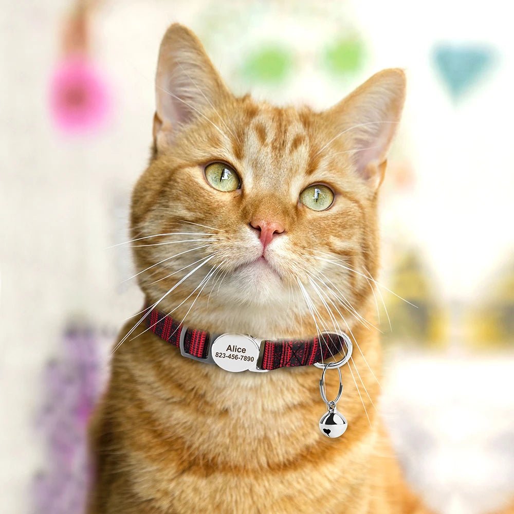 Willen MeowMark™ — Custom Engraved Cat Collar - Personalized Pet Collar | Willen