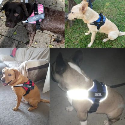 Reflective Dog Harness – Adjustable, Breathable, Padded - Willen