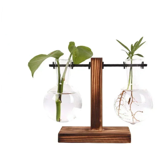 Glass Bulb Vase with Wooden Stand – Hydroponic Plant Holder - Willen