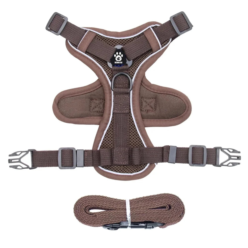 Reflective Pet Harness & Leash Set – Adjustable Mesh for Cats & Small Dogs - Willen