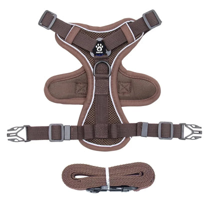 Reflective Pet Harness & Leash Set – Adjustable Mesh for Cats & Small Dogs - Willen