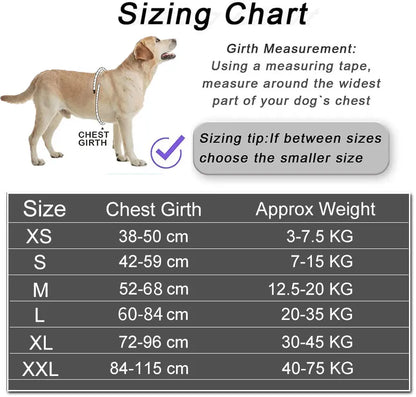 Reflective Dog Harness – Adjustable, Breathable, Padded - Willen