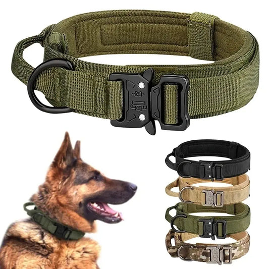 Heavy-Duty Dog Collar – Adjustable Nylon with Metal Buckle - Willen
