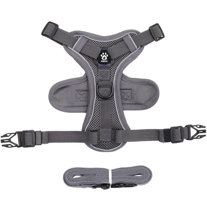 Reflective Pet Harness & Leash Set – Adjustable Mesh for Cats & Small Dogs - Willen