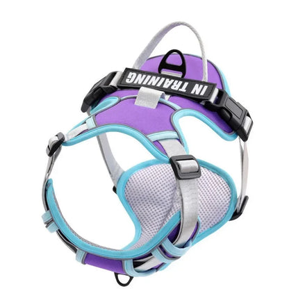 Reflective Adjustable Dog Harness – Breathable, Padded, with Custom Patch - Willen