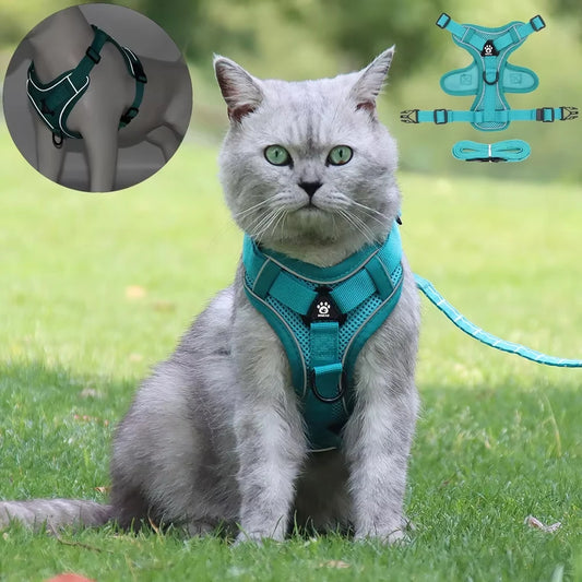 Reflective Pet Harness & Leash Set – Adjustable Mesh for Cats & Small Dogs - Willen