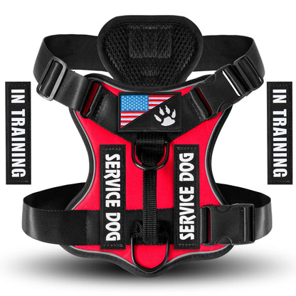 Reflective Training Vest for Dogs – Adjustable, Padded, with ID Patches - Willen