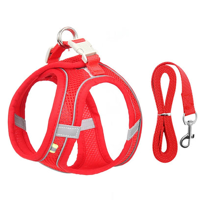 ComfyFit Pet Harness Set – Adjustable Mesh Vest & Leash for Small Dogs and Cats - Willen
