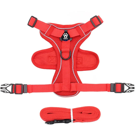 Reflective Pet Harness & Leash Set – Adjustable Mesh for Cats & Small Dogs - Willen