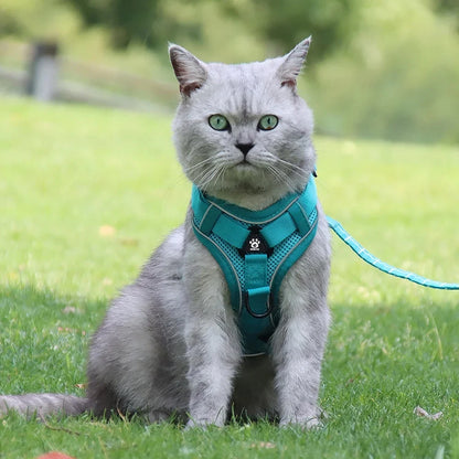 Reflective Pet Harness & Leash Set – Adjustable Mesh for Cats & Small Dogs - Willen