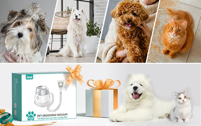All-in-One Pet Grooming Kit with Built-In Vacuum - Willen
