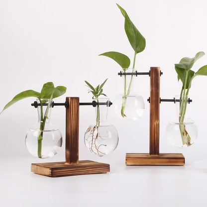 Glass Bulb Vase with Wooden Stand – Hydroponic Plant Holder - Willen