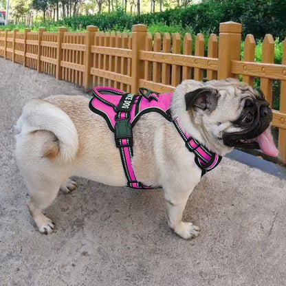 Reflective Adjustable Dog Harness – Breathable, Padded, with Custom Patch - Willen