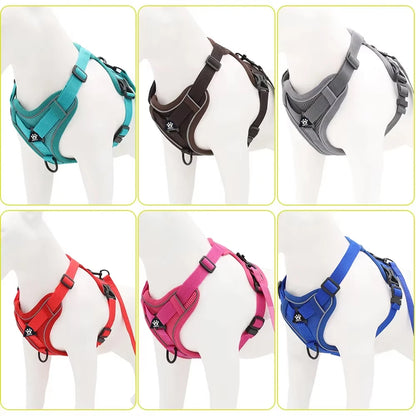 Reflective Pet Harness & Leash Set – Adjustable Mesh for Cats & Small Dogs - Willen
