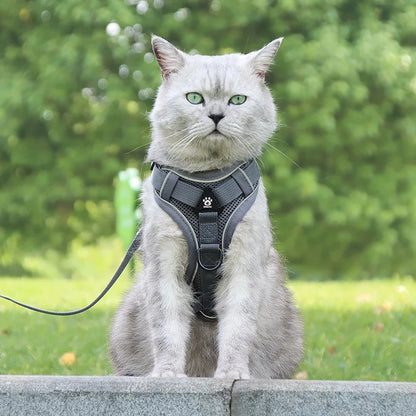 Reflective Pet Harness & Leash Set – Adjustable Mesh for Cats & Small Dogs - Willen