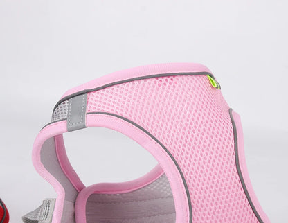 ComfyFit Pet Harness Set – Adjustable Mesh Vest & Leash for Small Dogs and Cats - Willen