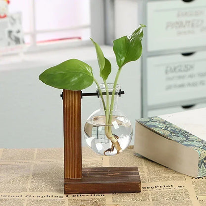 Glass Bulb Vase with Wooden Stand – Hydroponic Plant Holder - Willen