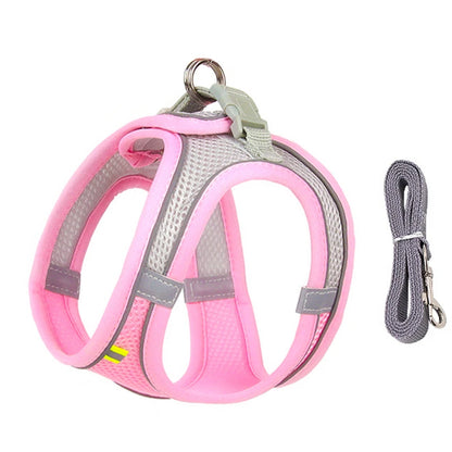 ComfyFit Pet Harness Set – Adjustable Mesh Vest & Leash for Small Dogs and Cats - Willen