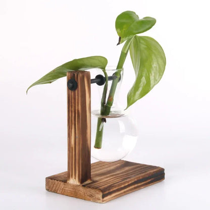 Glass Bulb Vase with Wooden Stand – Hydroponic Plant Holder - Willen