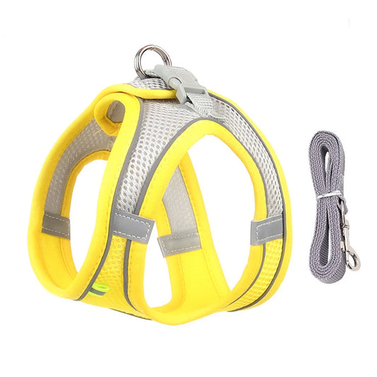 ComfyFit Pet Harness Set – Adjustable Mesh Vest & Leash for Small Dogs and Cats - Willen