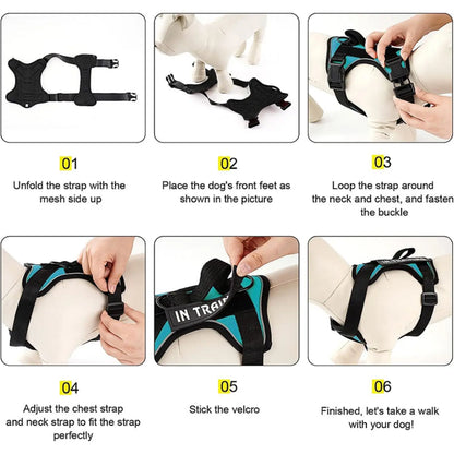 Reflective Training Vest for Dogs – Adjustable, Padded, with ID Patches - Willen