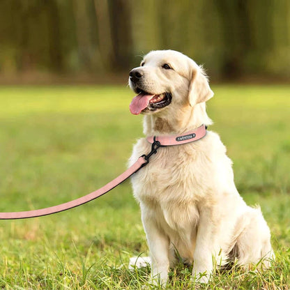Willen BarkID™ — Engraved Leather Collar & Lead - Personalized Leather Dog Collar & Leash Set | Willen