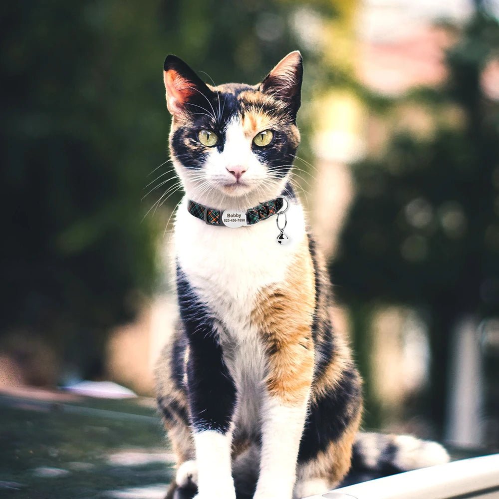 Willen MeowMark™ — Custom Engraved Cat Collar - Personalized Pet Collar | Willen